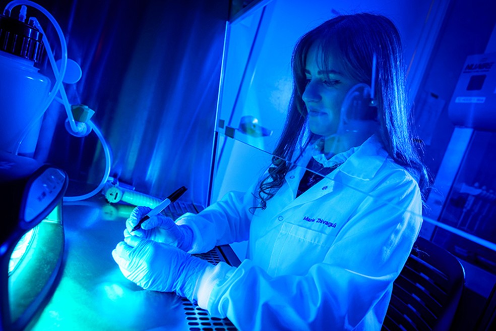 Maria Zhivagui, bolsista de pós-doutorado no Alexandrov Lab e primeira autora do estudo, prepara células humanas em placas de Petri para exposição ao dispositivo de manicure — Foto: UC San Diego Jacobs School of Engineering