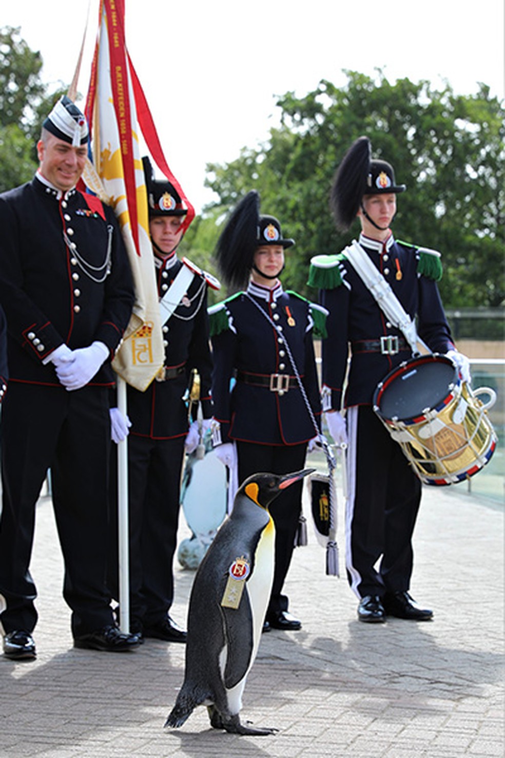 Major-general do exército norueguês (com bico e penas) marcha ao lado de colegas — Foto: Guinness World Records