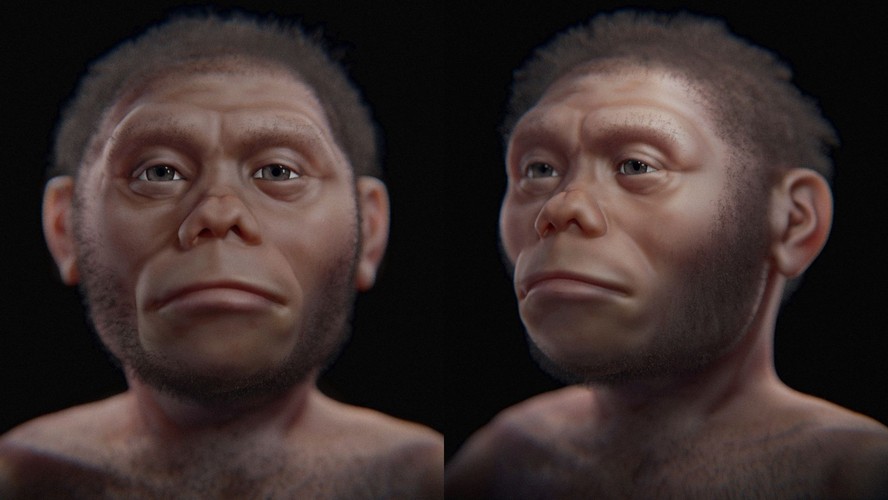 Aproximação facial em 3D do Homo floresiensis (versão artística)