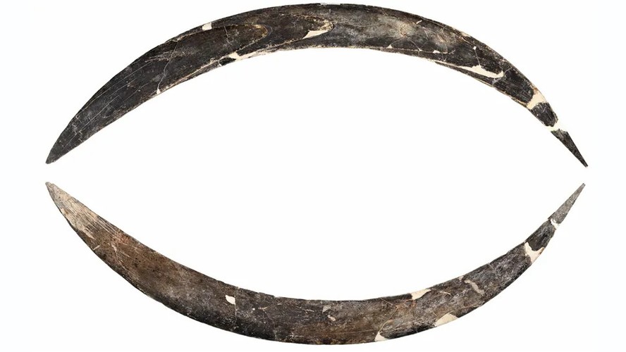 Boomerang