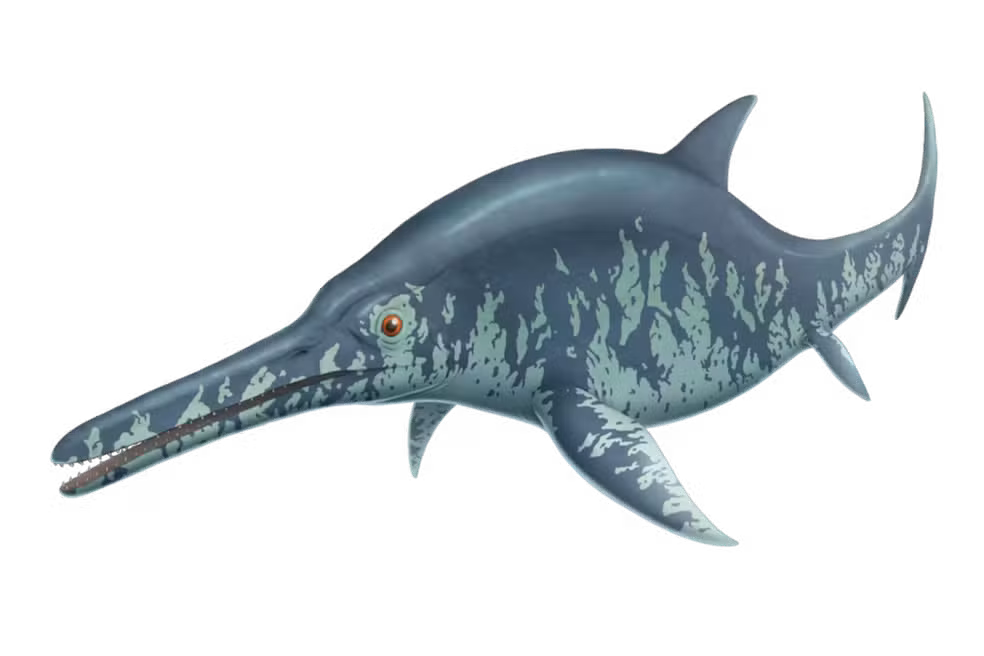 Impressão artística da espécie de ictiossauro, Platypterygius australis — Foto: Australian Age of Dinosaurs/Sante Mazzei