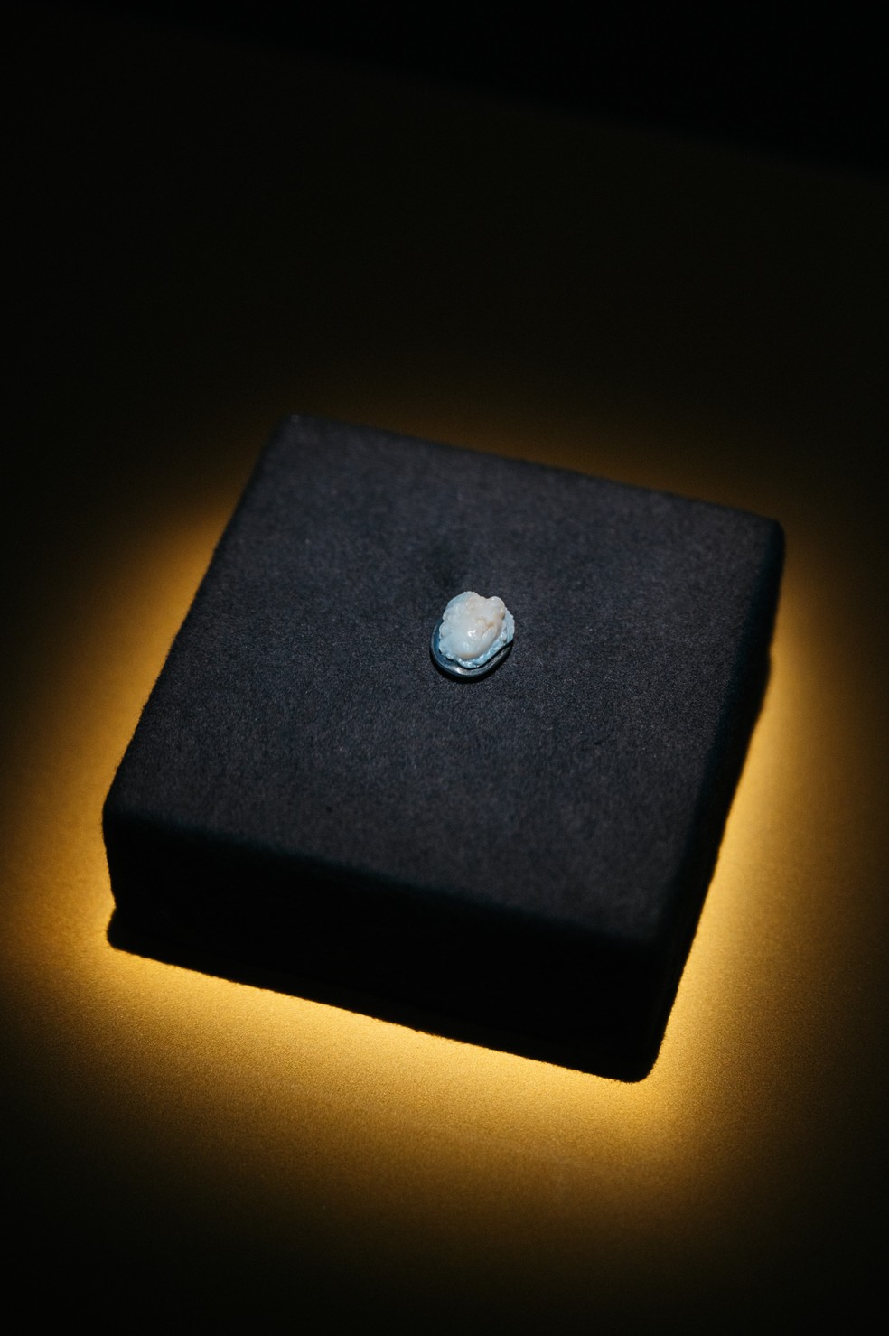 A Medusa de Hallstatt será exposta no centro cultural da cidade austríaca a partir de 8 de dezembro — Foto: Divulgação