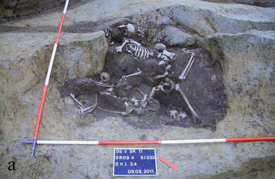 Esqueletos SK 2, SK 3 e SK 4 no poço SU 233/234 durante diferentes fases de escavação — Foto: M. Novak et al.