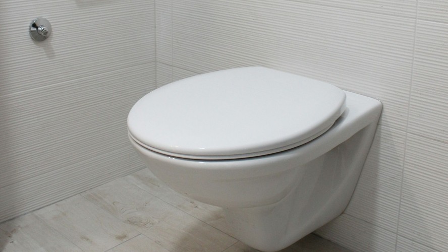 Fechar tampa do vaso sanitário não nos protege contra vírus, conclui estudo  | Saúde | Galileu