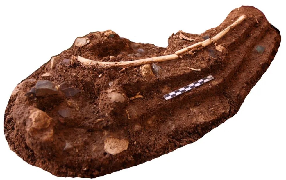 Um bloco de sedimento de caverna inclui uma costela de estegodonte rodeada por artefatos de pedra e ossos de rato. — Foto: Equipe Liang Bua
