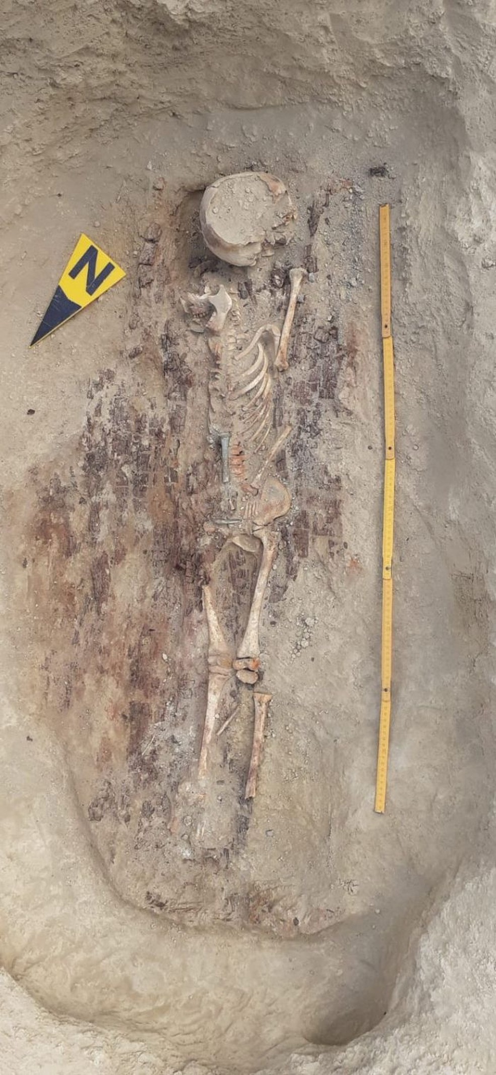 Fotografia do esqueleto encontrado na segunda tumba — Foto: V. Voine