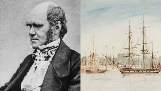 Nova edição de "A Viagem do Beagle" amplia debate sobre expedição de Darwin