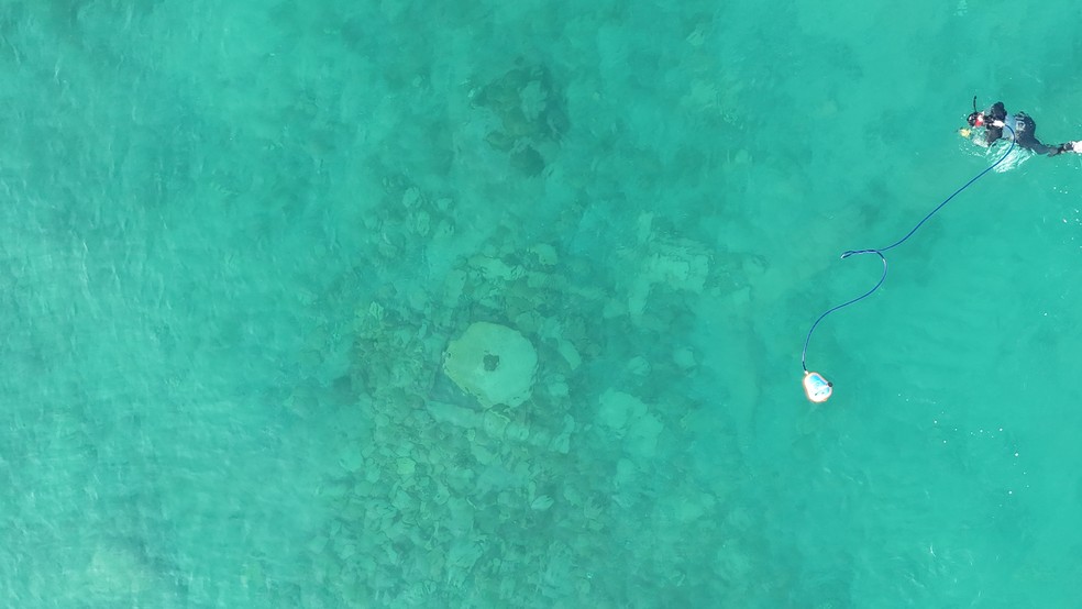 Levantamento fotogramétrico de um objeto subaquático. Fotografia tirada de um quadricóptero — Foto: Instituto de Arqueologia da Academia Russa de Ciências