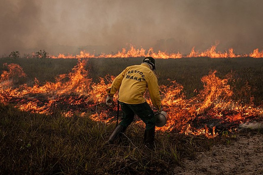 Brigadistas do Ibama participam de operação conjunta para combater incêndios na Amazônia