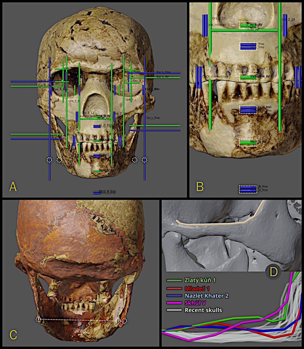 Projeções e mensurações sobre o crânio da aproximação facial — Foto: Cicero Moraes