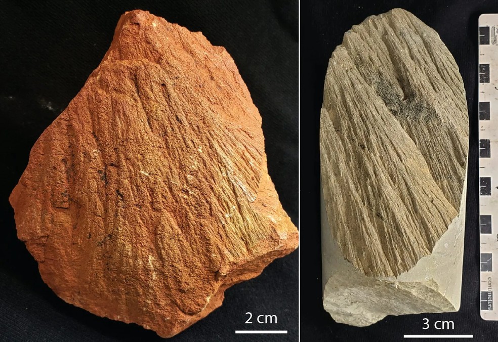 Cones formados em rochas verdes da estrutura de Ora Banda. À esquerda: cones de estilhaçamento em uma amostra de superfície oxidada; à direita: cones de estilhaçamento encontrados em um testemunho de perfuração — Foto: Aaron Cavosie