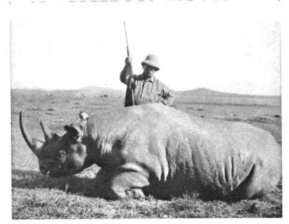 Theodore Roosevelt, ex-presidente dos EUA, está acima de um rinoceronte-negro que ele acabou de matar em 1911 — Foto: Domínio Público