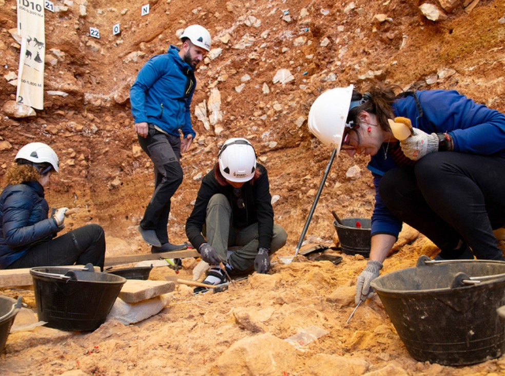 Trabalhos de escavação no nível TD6 de Gran Dolina (Serra de Atapuerca, Burgos) — Foto: Maria D. Guillén/IPHES
