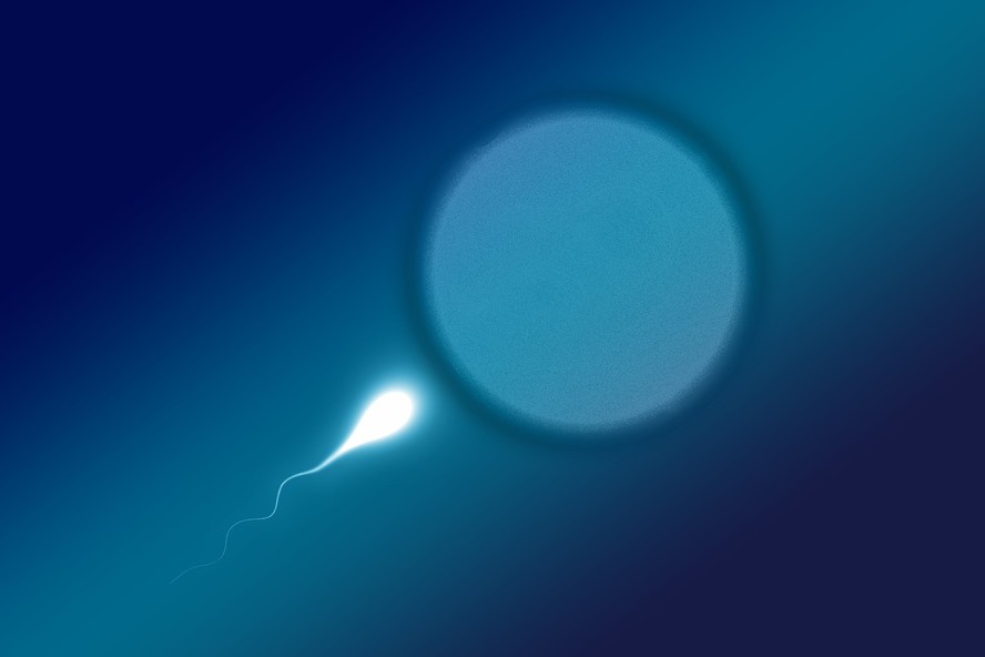 Cientistas canadenses avaliaram o espermatozoide de homens inférteis, que possibilitou a descoberta de dois marcadores