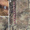 Artes rupestres são achadas junto de pegadas de dinossauros na Paraíba