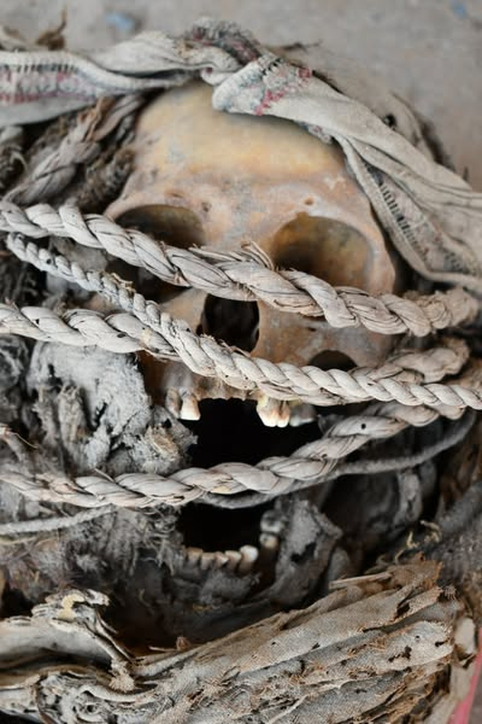 Crânio de uma pessoa enterrada em El Curaca — Foto: Jósef Szykulski/University of Wrocław