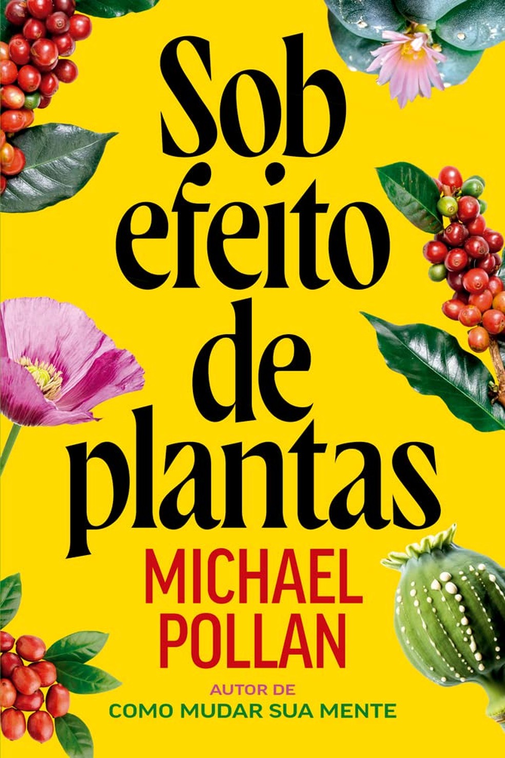Sob efeito de plantas, de Michael Pollan — Foto: Divulgação