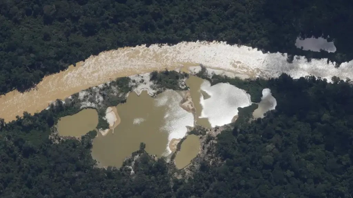 Amazônia está entre locais com seca mais severa no ano passado, diz ONU