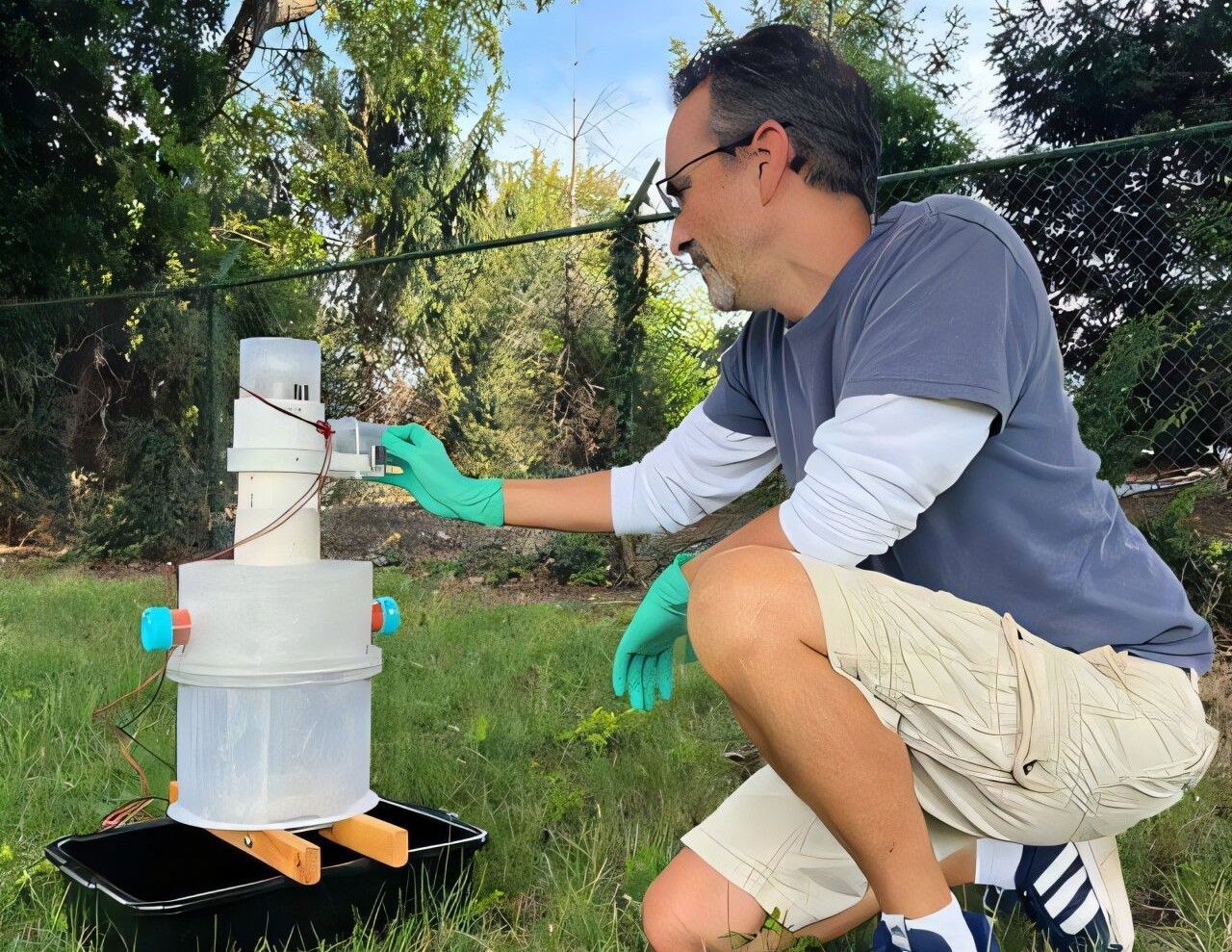 Imagem ilustrativa de mosquitos e coleta de amostras genéticas