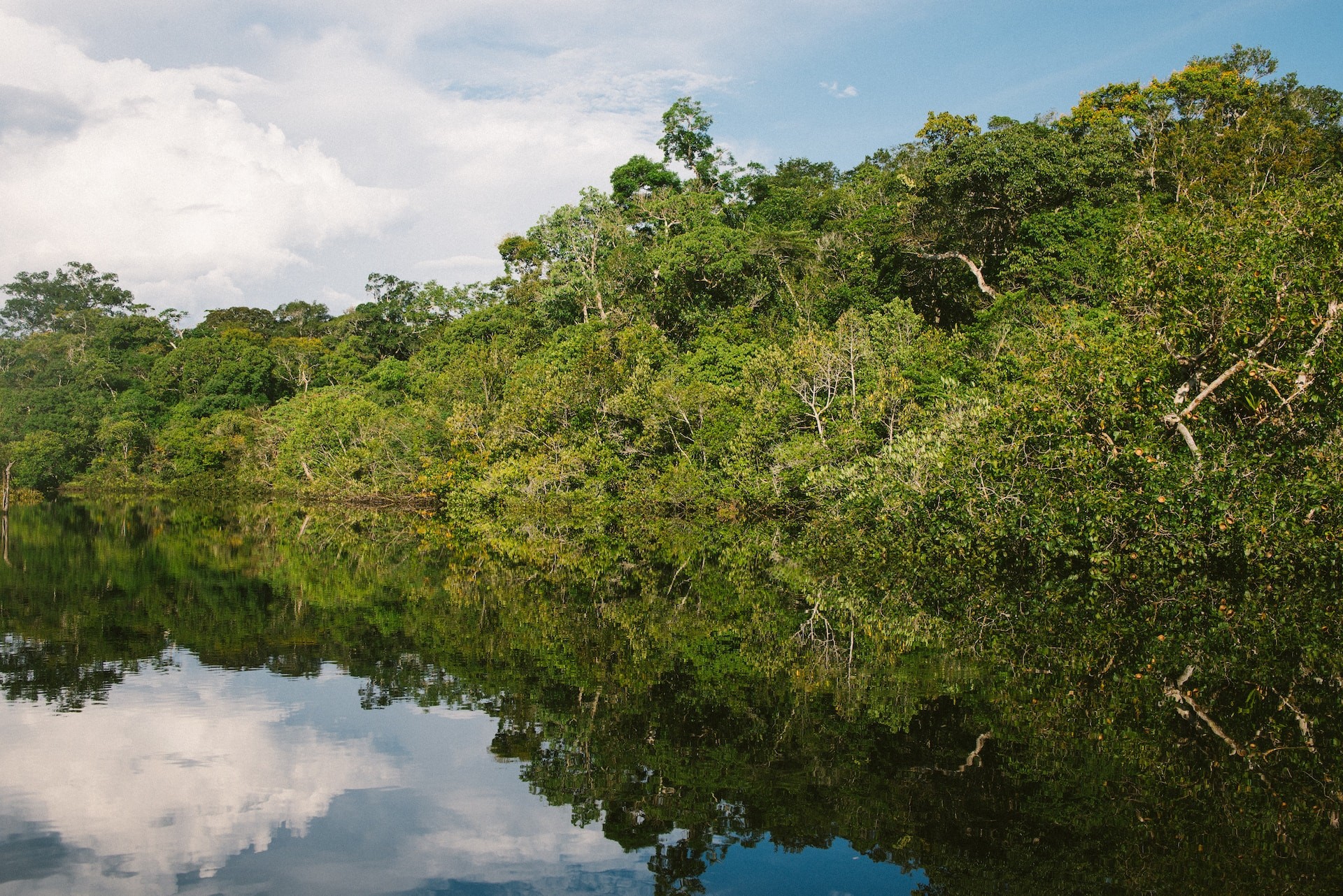 Reuniões internacionais sobre mudanças climáticas e conservação ambiental