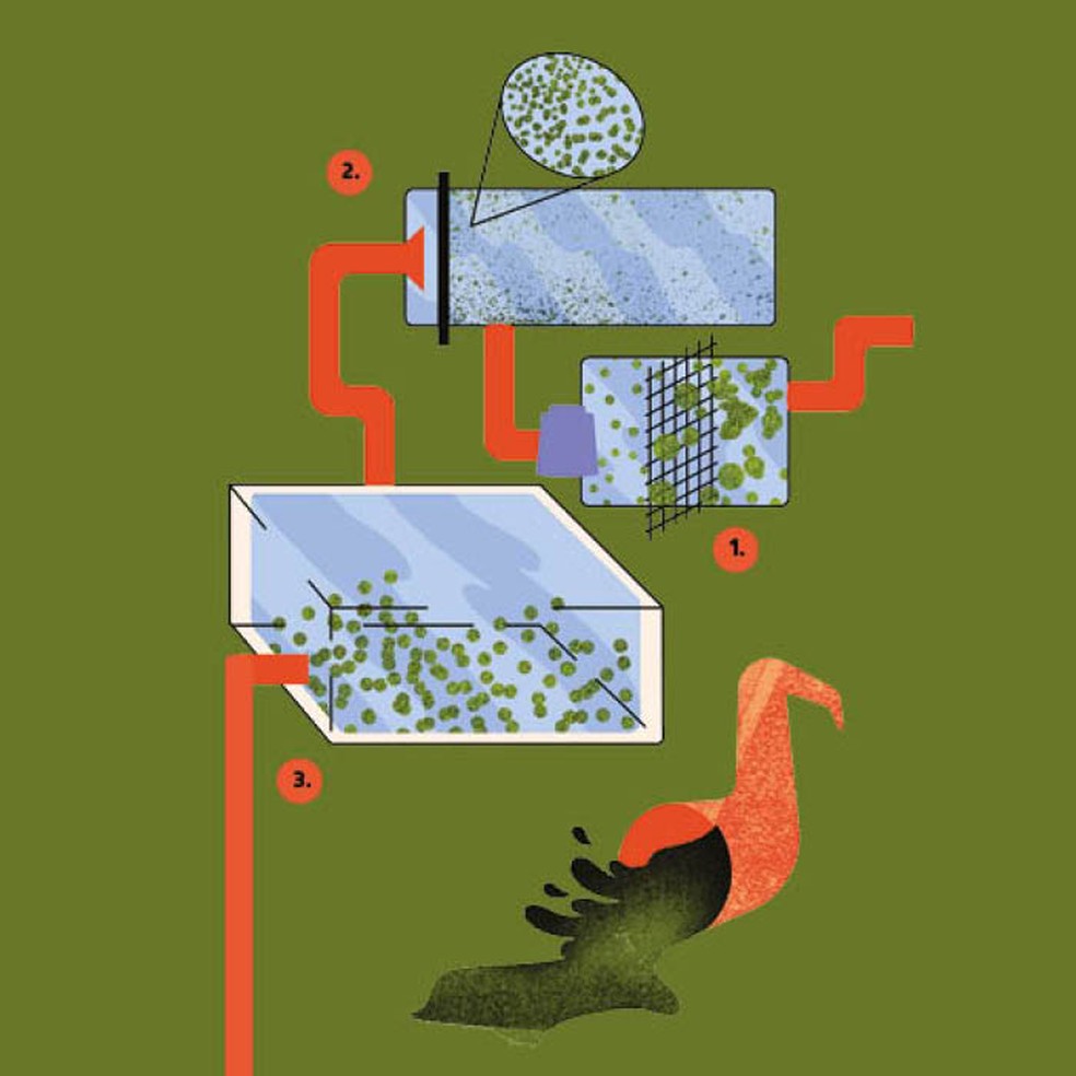 A ilustração acompanha o tratamento primário do esgoto, onde os sólidos se desmontam da matéria orgânica — Foto: ilustração de Felipe Tadashi