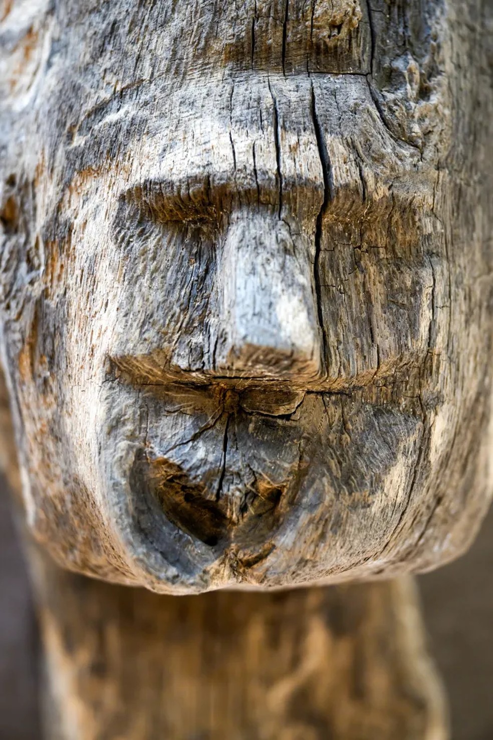 Rosto esculpido em madeira na Polônia — Foto: PAP/Jakub Kaczmarczyk