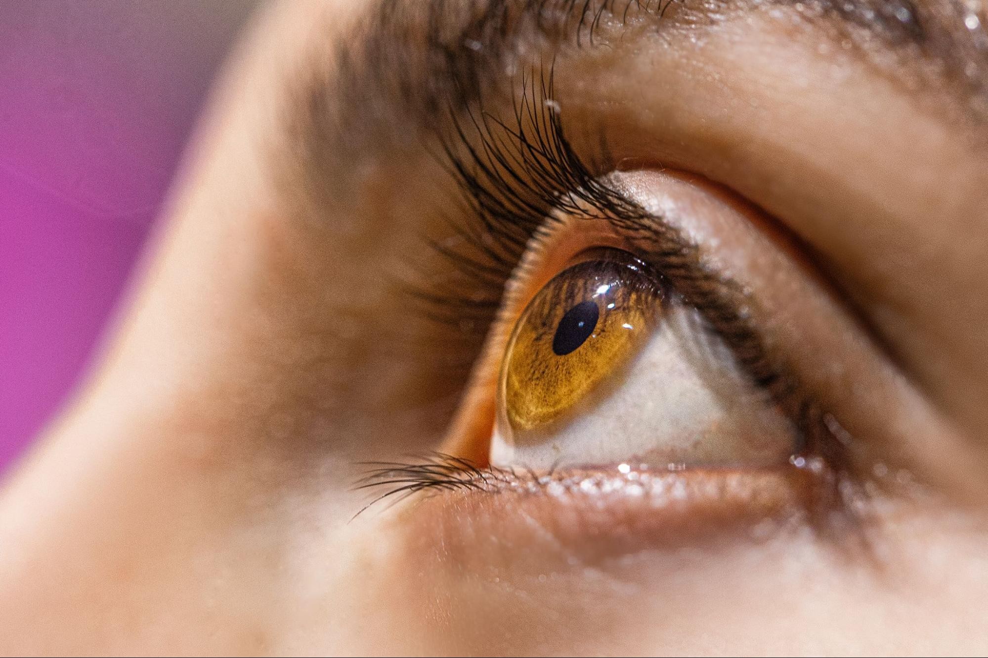 Experimento com colírio restaurador de visão em retina de rato