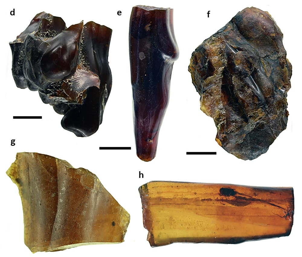  Delclòs, X., Peñalver, E., Jaramillo