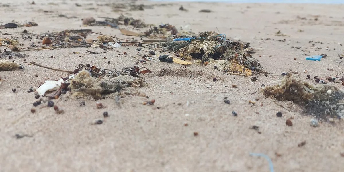 Estudo avalia índices de microplástico em mais de mil praias brasileiras