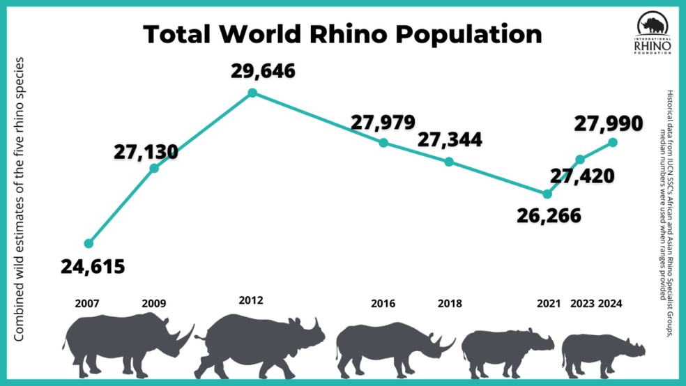 Apenas 50 rinocerontes desta espécie rara sobraram na natureza