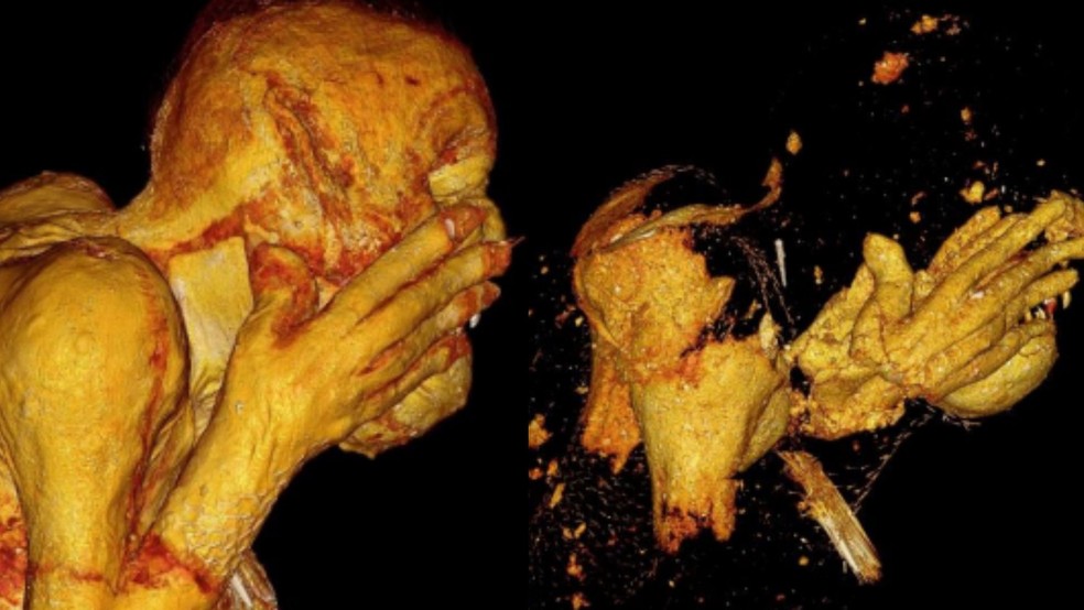 Usando datação por radiocarbono nas escamas da 'múmia', os cientistas determinaram que ela provavelmente foi feita no final do século 19  — Foto: Kurashiki University of Science and the Arts