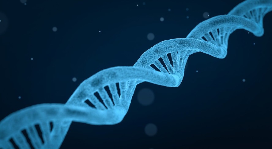 Cientistas identificaram  “cicatriz” indicativa da deficiência em um sistema de reparo do DNA