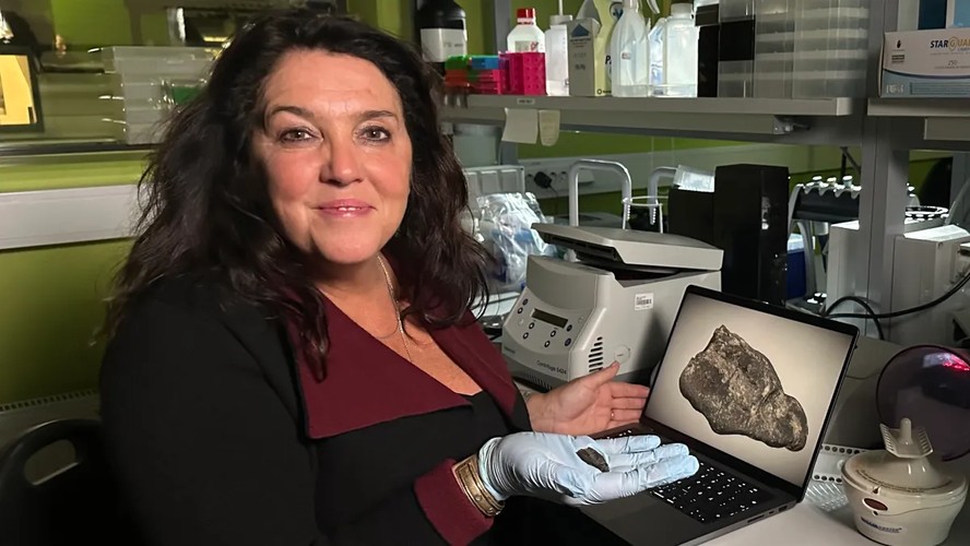 DNA revela quem mascou chiclete de 10,5 mil anos