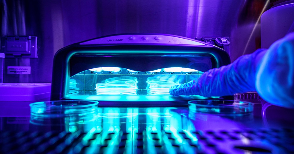 Pesquisadores estudaram os dispositivos emissores de luz UV usados ​​para secar unhas de gel e descobriram que o uso crônico dessas máquinas é prejudicial às células humanas — Foto: David Baillot/ UC San Diego Jacobs School of Engineering