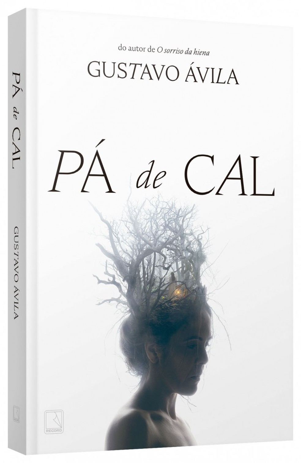 "Pá de cal", de  Gustavo Ávila — Foto: Record/Divulgação