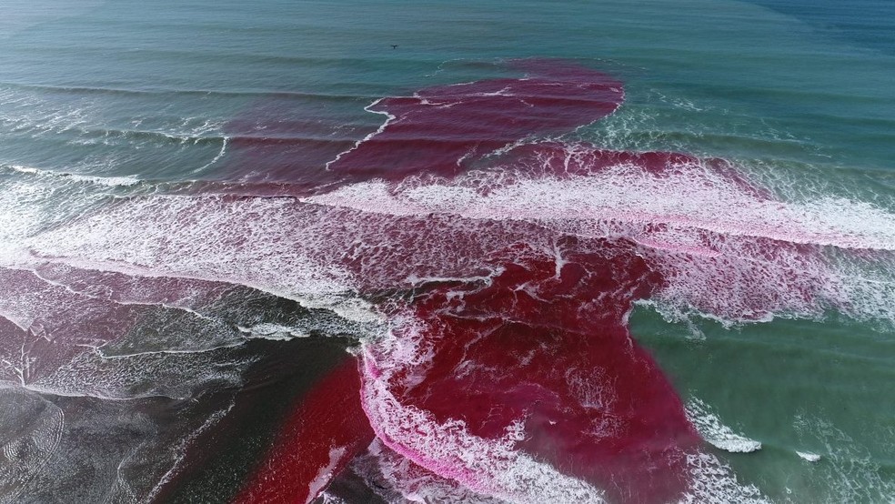 Mar tingido de rosa em San Diego — Foto: Reprodução/pinc.ucsd.edu