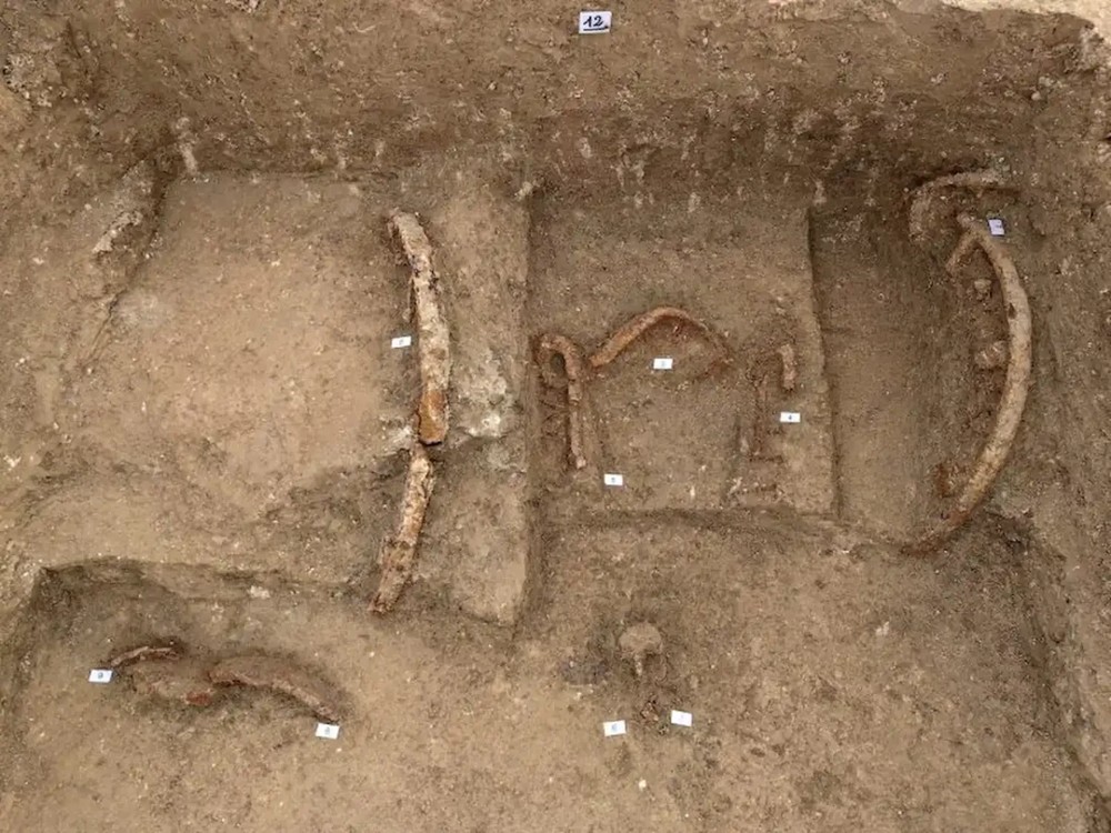 Tumba de “príncipe guerreiro” de 2.500 anos com carruagem é achada na ...