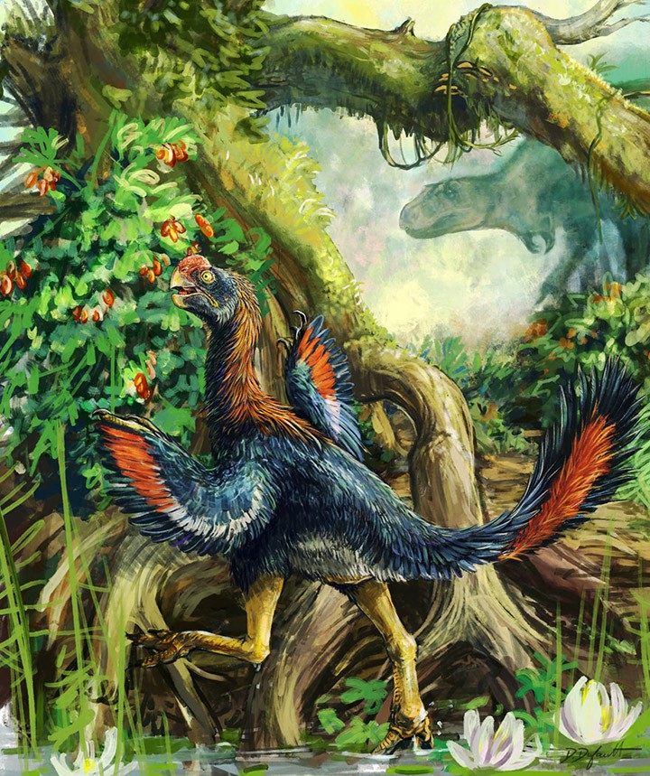 Descoberta "galinha do inferno" que pode ser 1º dinossauro comedor de frutas