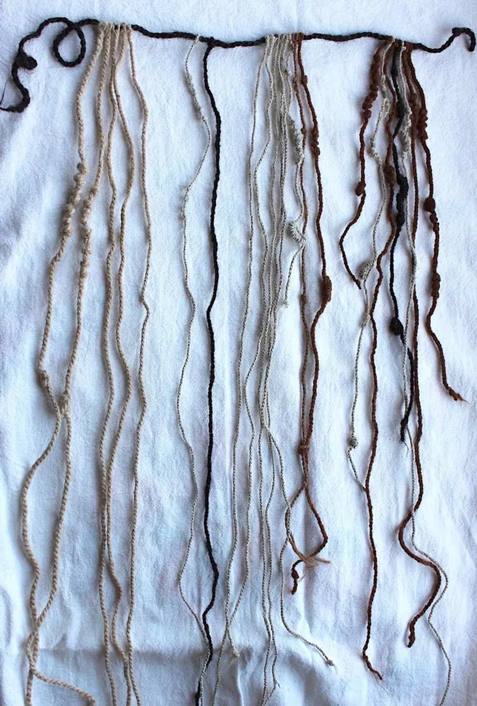 A análise química do cabelo revela que ele veio de uma fonte surpreendente: um plebeu e não, como esperado, uma pessoa da elite — Foto: Universidade de St. Andrews