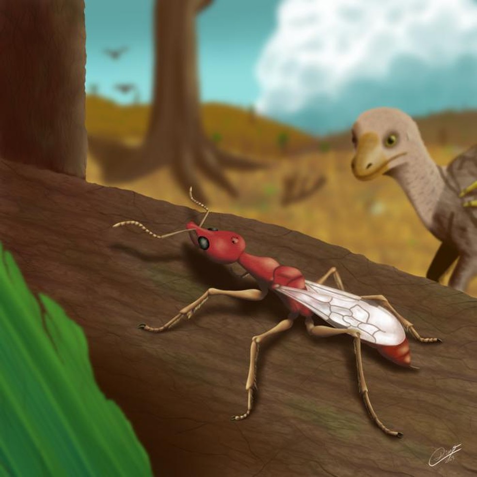 Uma reconstrução paleoartística da nova espécie, baseada no fóssil e em uma espécie parente próxima encontrada em âmbar de Mianmar — Foto: Diego M. Matielo
