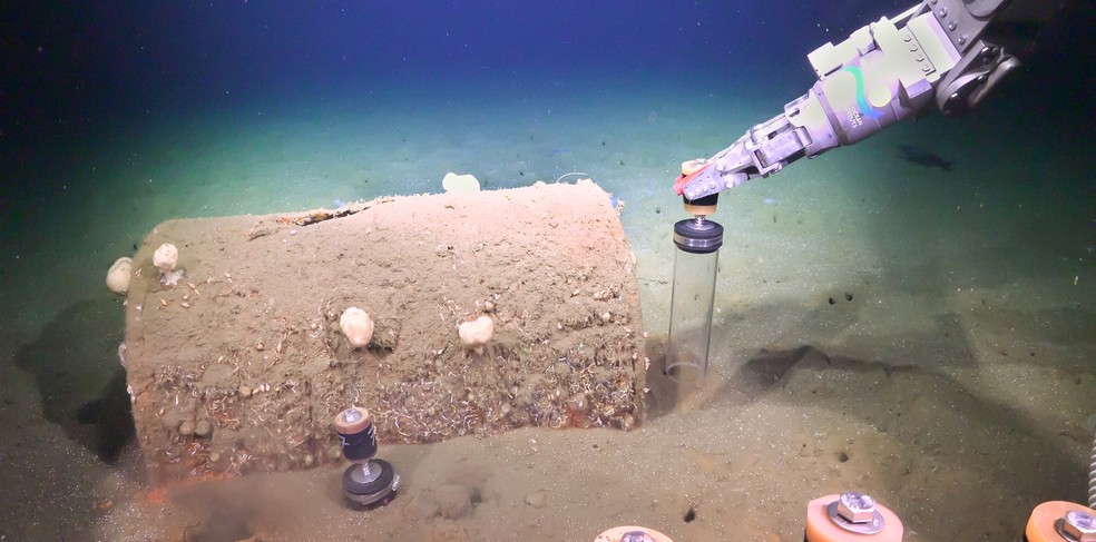  Schmidt Ocean Institute.