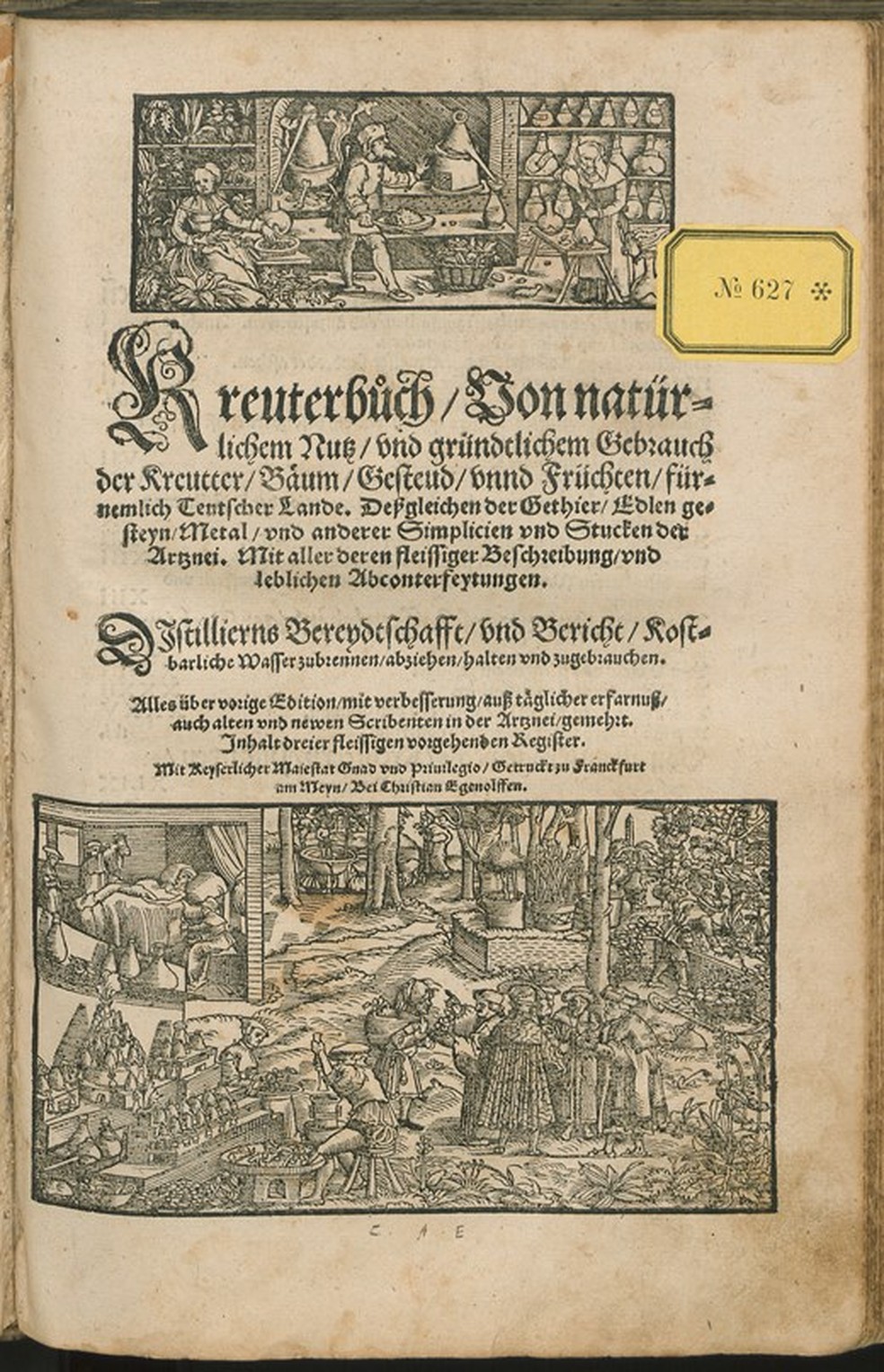 O conhecimento, as práticas e as imagens das coleções de receitas de Vogtherr entraram nos manuais médicos mais populares da Alemanha do século 16 — Foto: Universitäts- und Landesbibliothek Sachsen-Anhalt, Halle ad Saale