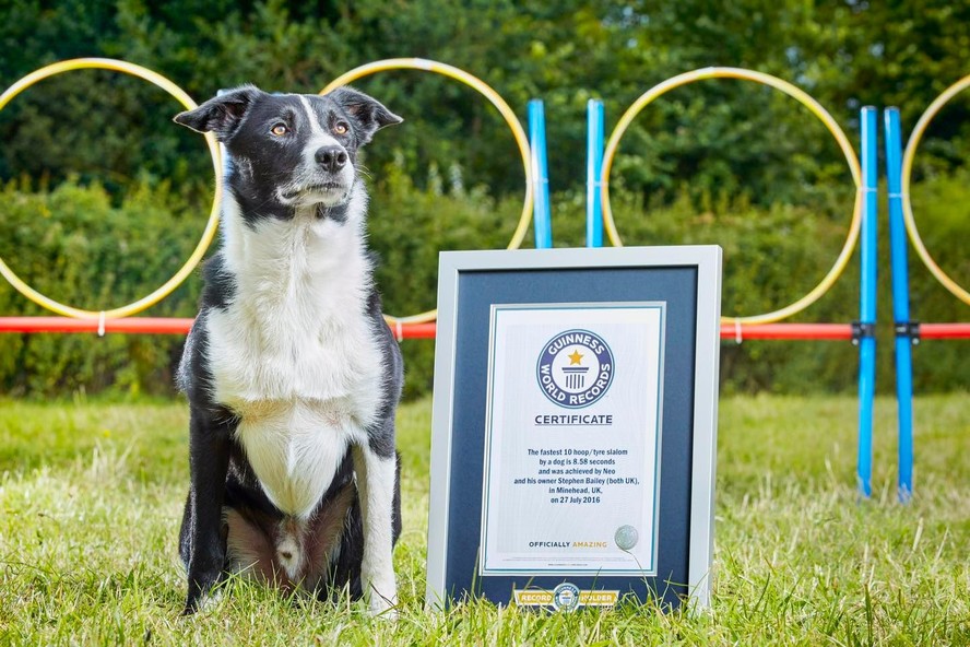 Neo ao lado de seu certificado de quebra de recorde do Guinness