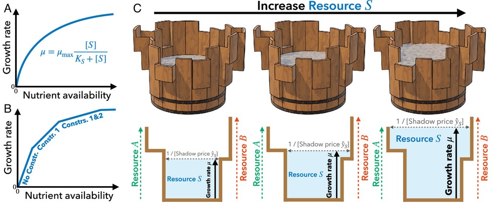  Jumpei Yamagishi e tetsuhiro Hatakeyama