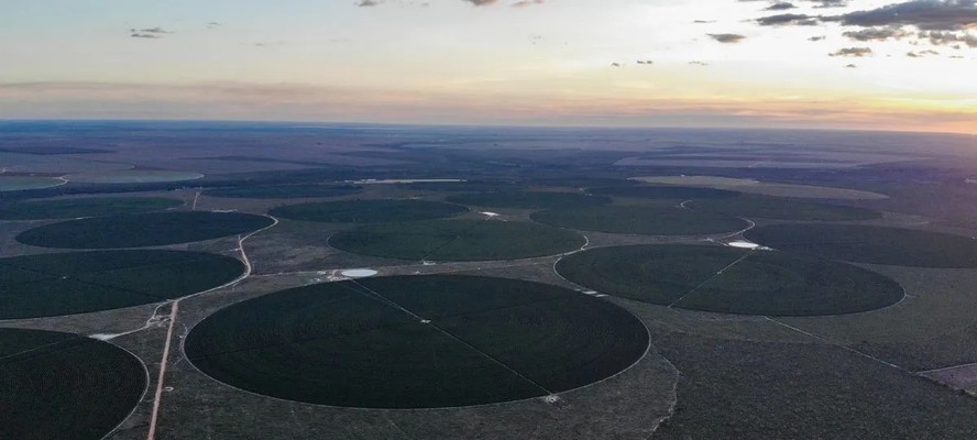 Os donos da água: 50 empresas podem usar mesma quantidade que metade do  Brasil | Meio ambiente | Galileu