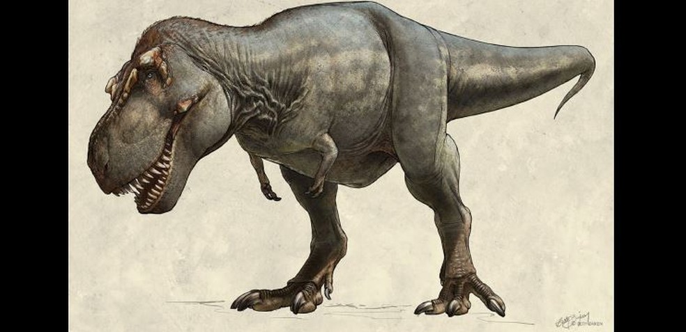 Ilustração da tiranossaura grávida em vida  — Foto:  Beth Zaiken/ The Royal Saskatchewan Museum