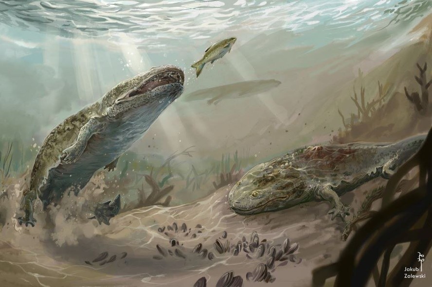 Reconstrução dos metoposauros, que viveu há cerca de 215 milhões de anos