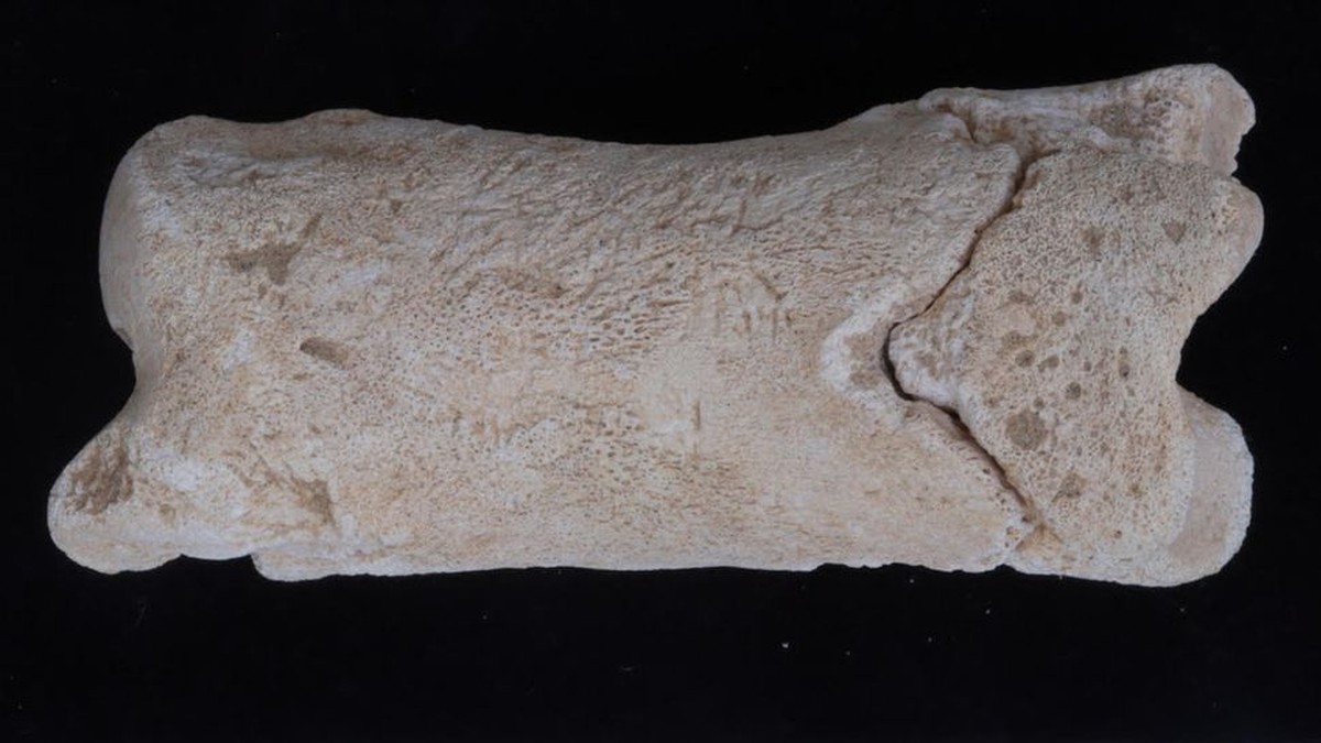 Apito egípcio de 3.300 anos era usado por guardas que vigiavam tumba real