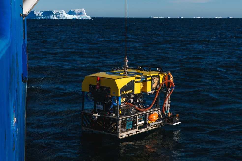Usando um ROV, a equipe observou o fundo do mar profundo por 8 dias e descobriu ecossistemas florescentes de grandes corais e esponjas que sustentam uma variedade de vida animal, incluindo peixes-gelo, aranhas marinhas gigantes e polvos — Foto: Alex Ingle / Instituto Oceânico Schmidt