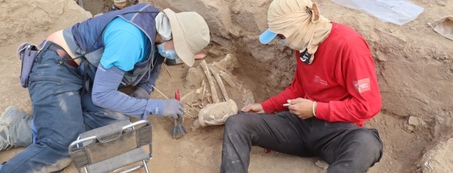 Cemitério anterior ao período Inca é descoberto no Peru — Foto: Ministério da Cultura